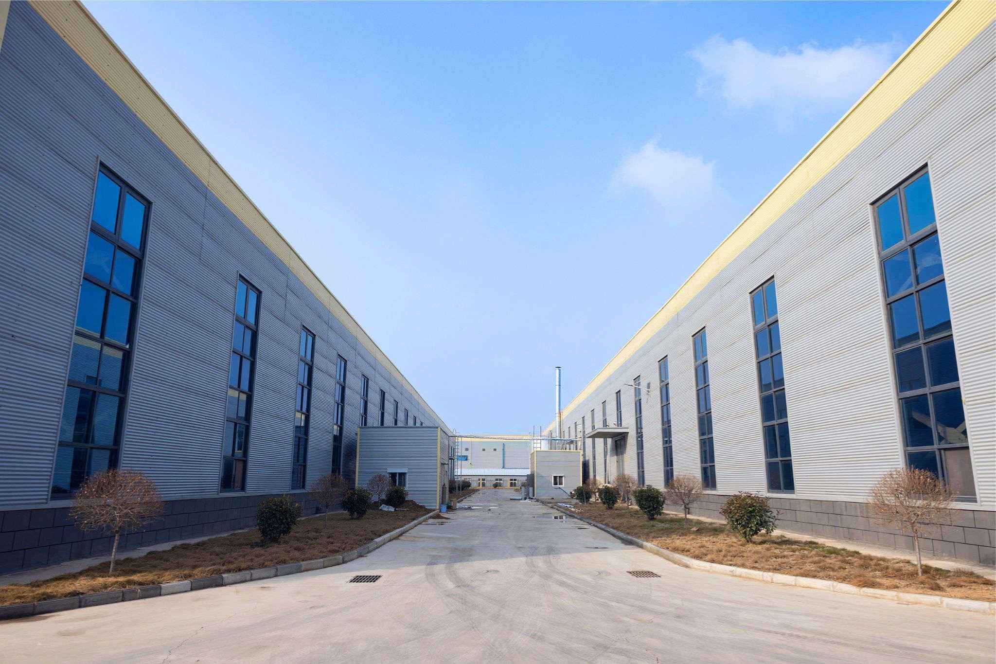 Company Environment